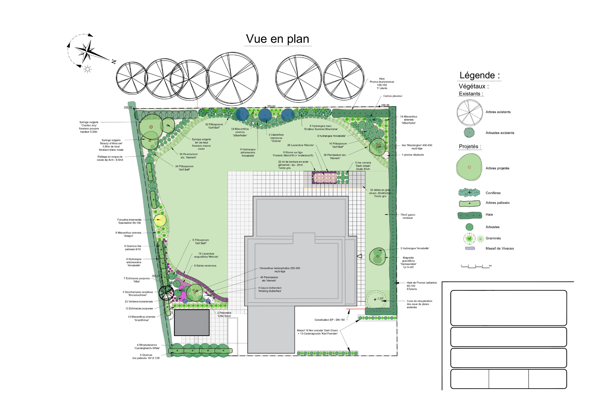 Plan de masse