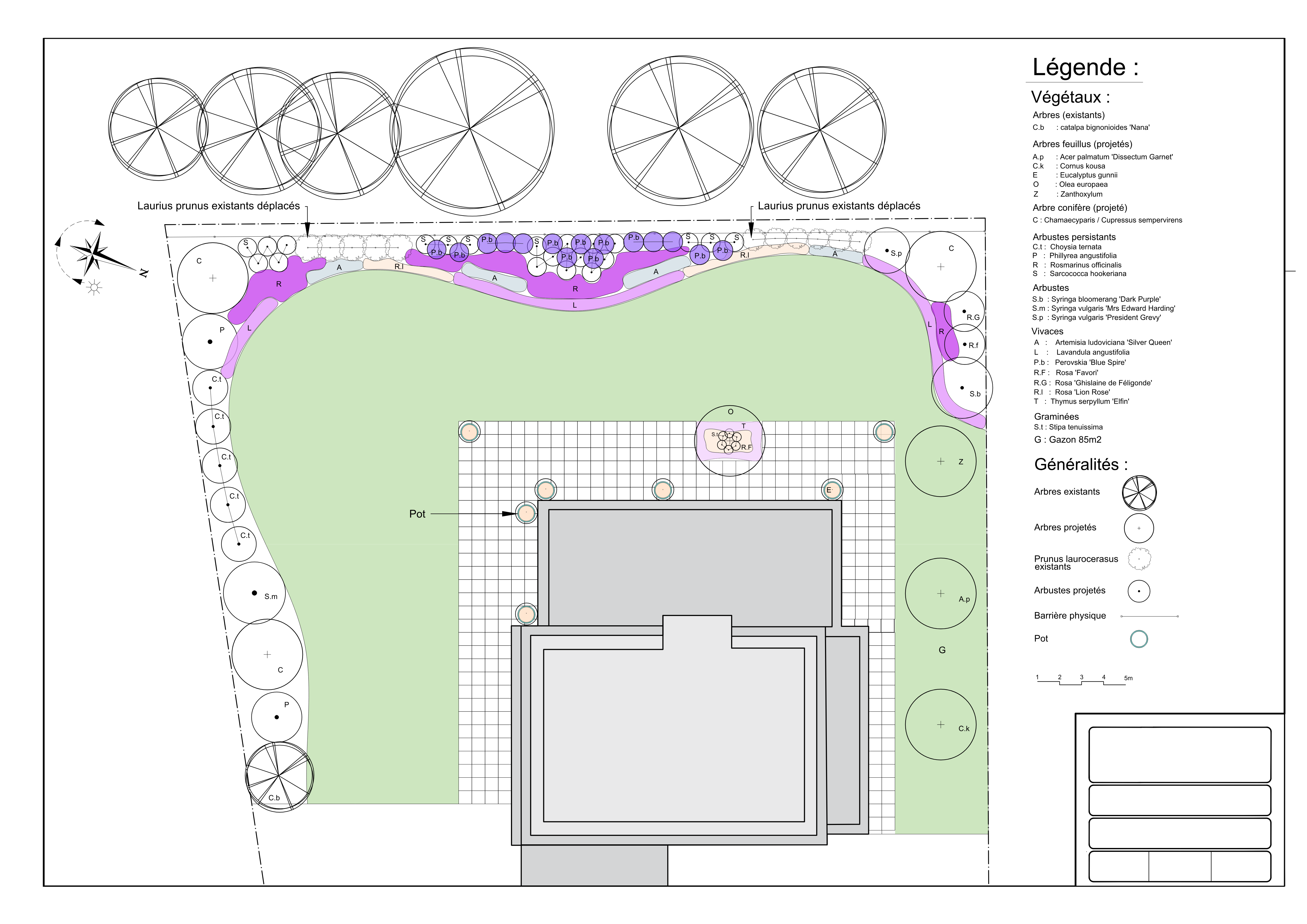 Plan de plantation